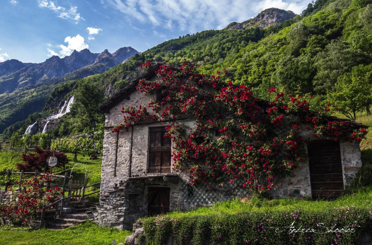 Hotel Piuro Prosto di Piuro Esterno foto